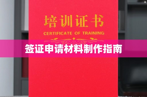 灵武签证申请材料制作指南